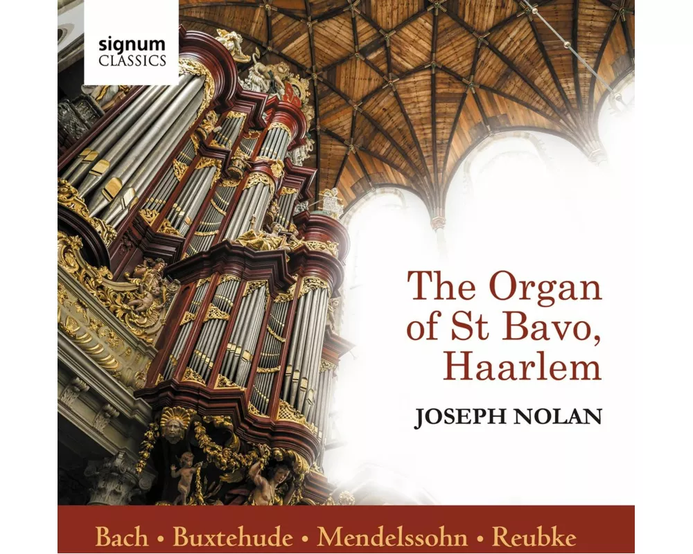 Joseph Nolan spielt die Orgel von St Bavo,Haarlem