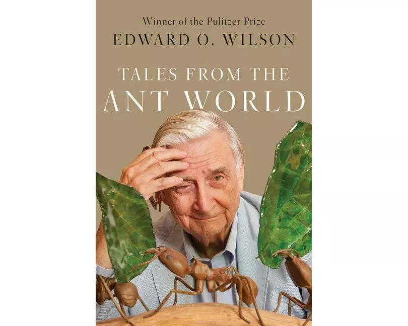 Tales from the Ant World