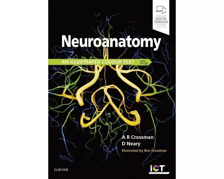 Neuroanatomy: an Illustrated Colour Text