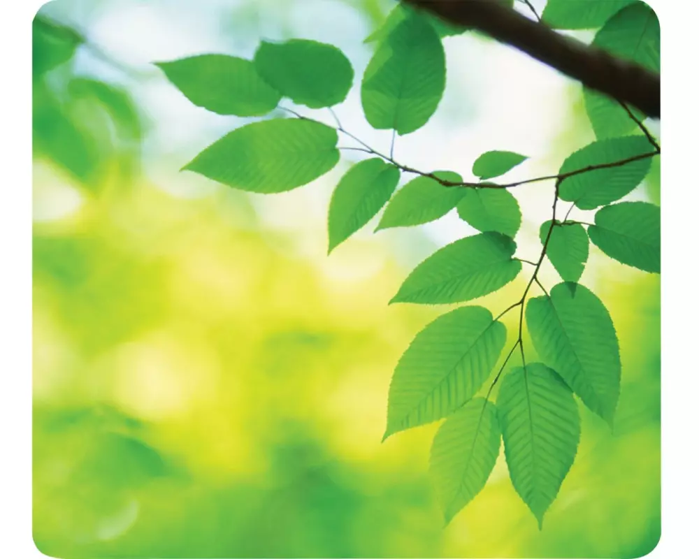 Fellowes Bedruckte Mausmatte Blätter