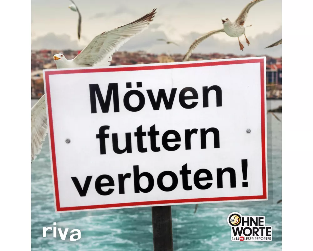 Möwen futtern verboten