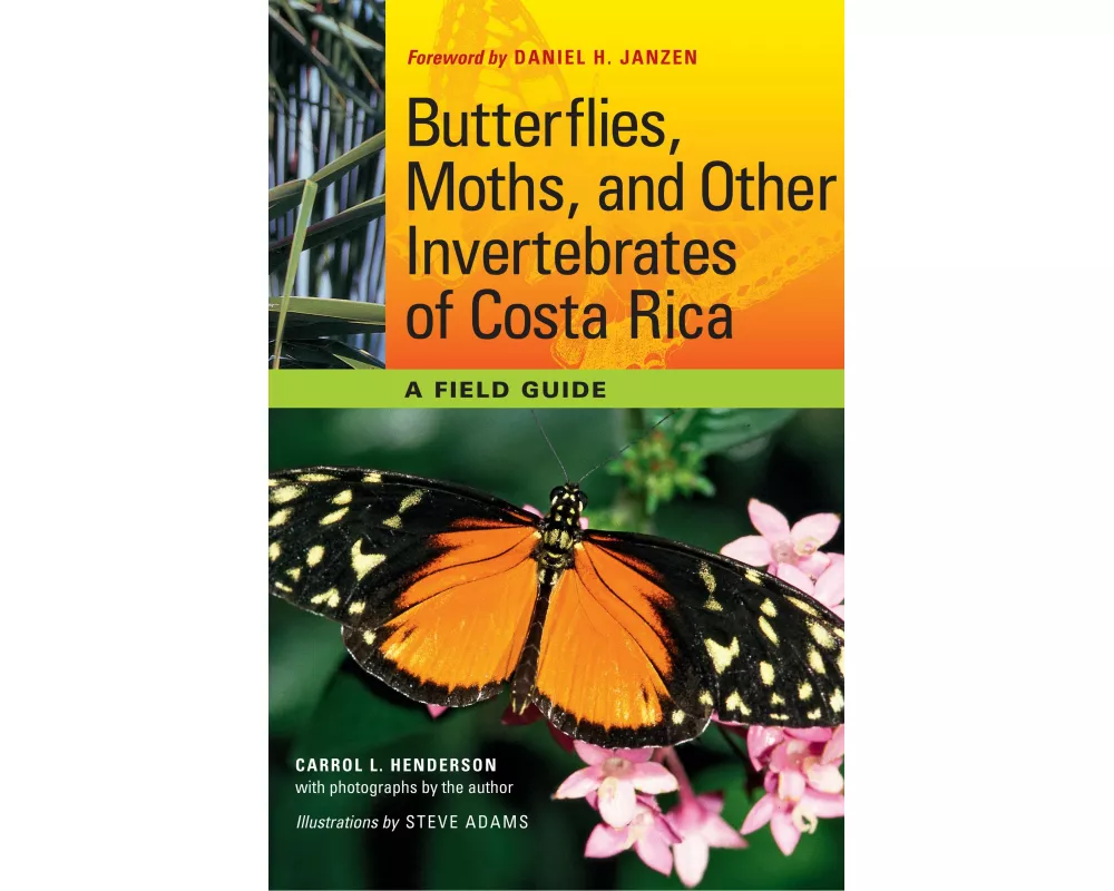 Butterflies, Moths, and Other Invertebrates of Costa Rica
