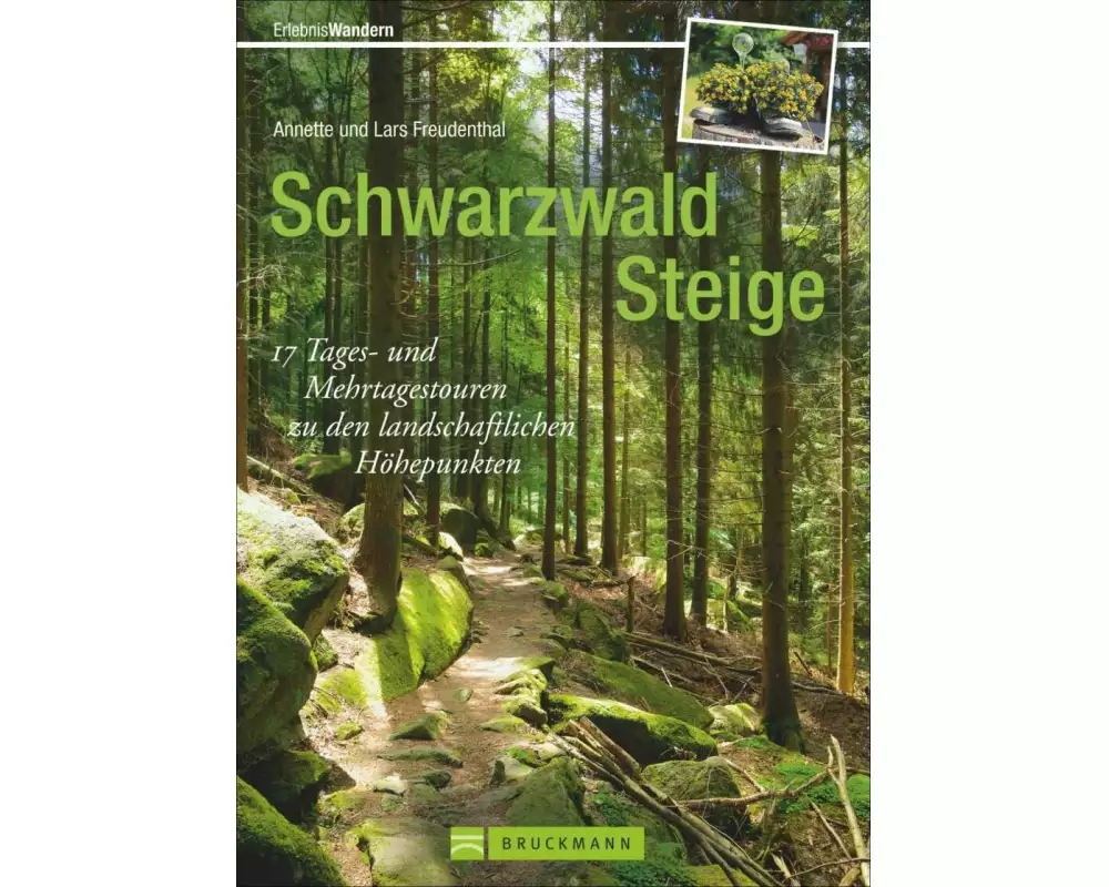 Schwarzwald Steige