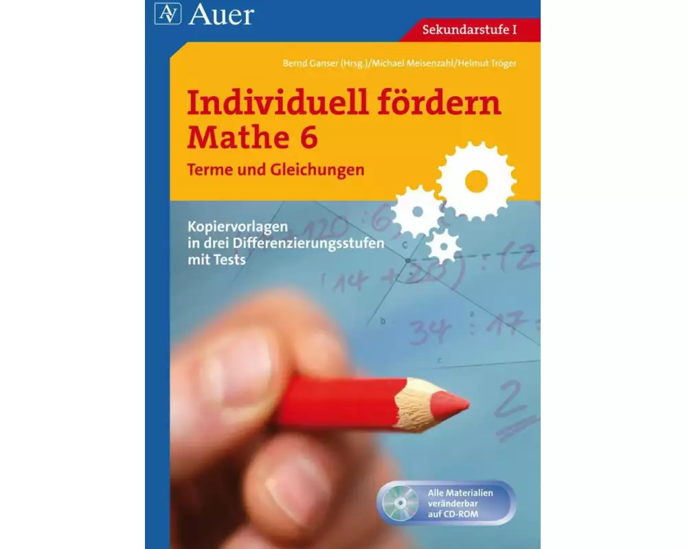 Individuell fördern Mathe 6 Terme und Gleichungen