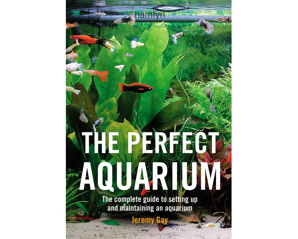 The Perfect Aquarium