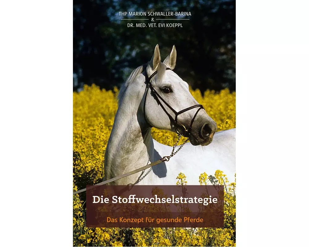 Die Stoffwechselstrategie