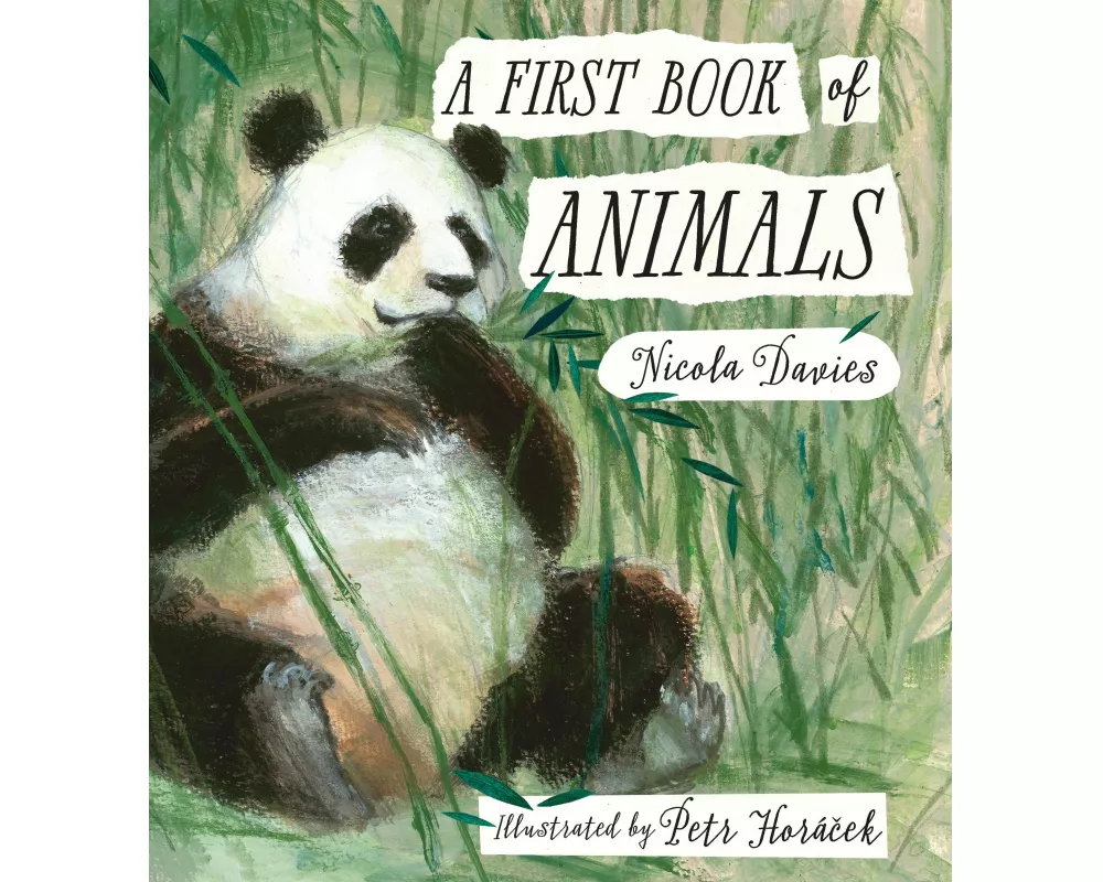 A First Book of Animals