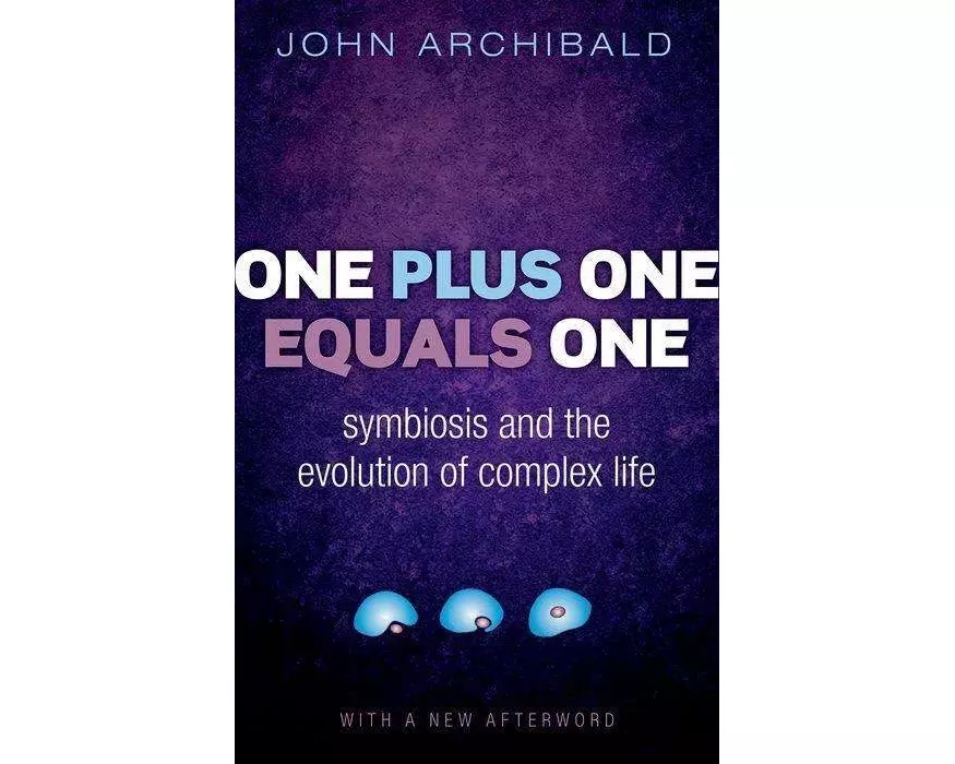 One Plus One Equals One