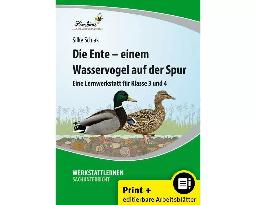 Die Ente - einem Wasservogel auf der Spur