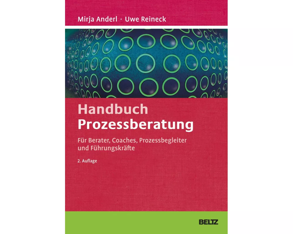 Handbuch Prozessberatung