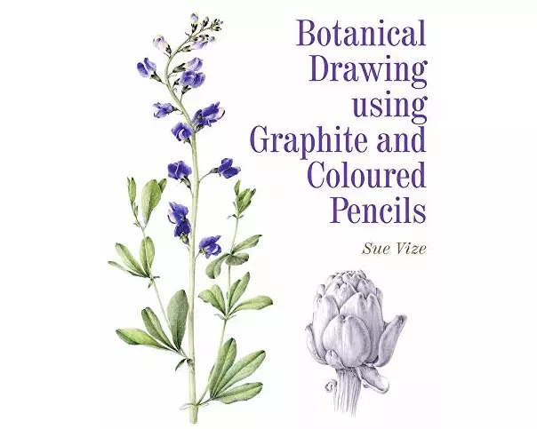 Botanical Drawing using Graphite and Coloured Pencils