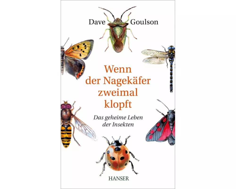 Wenn der Nagekäfer zweimal klopft