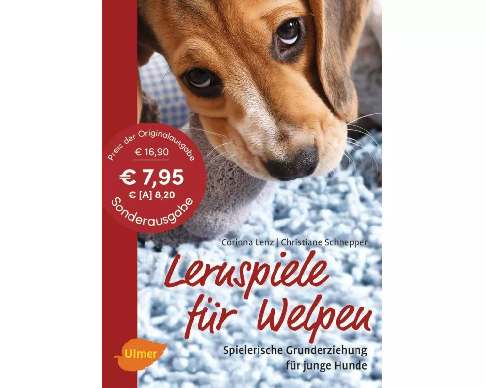 Lernspiele für Welpen