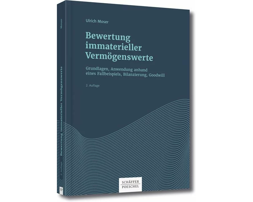 Bewertung immaterieller Vermögenswerte