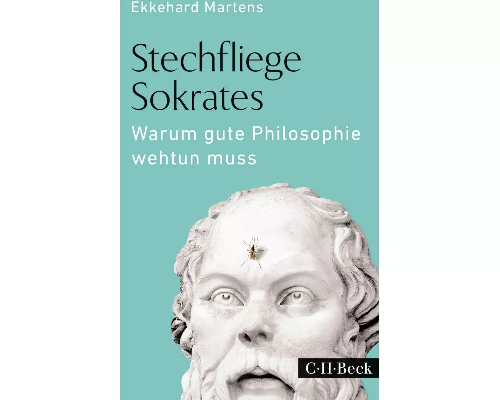 Stechfliege Sokrates