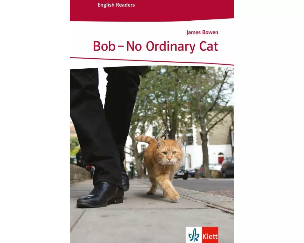 Bob - No Ordinary Cat