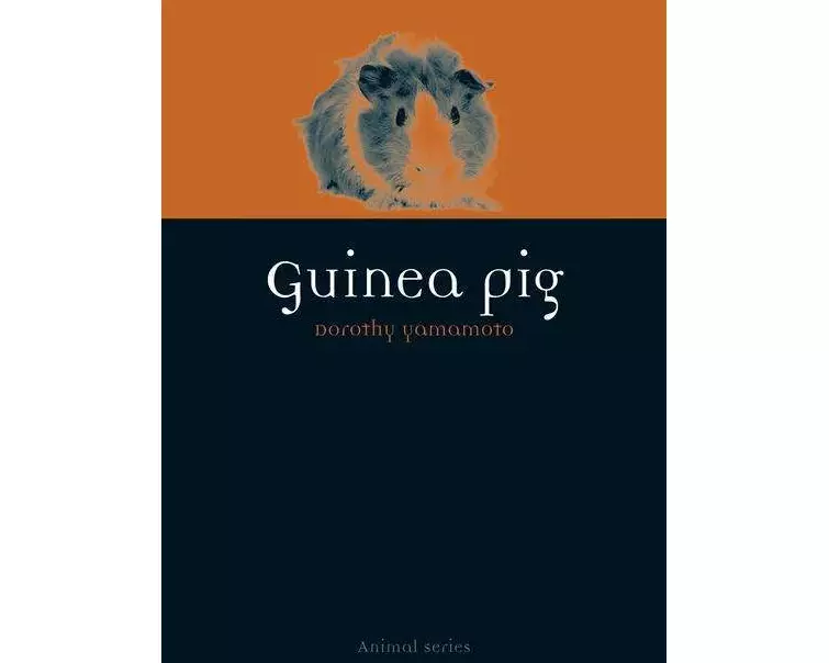 Guinea Pig