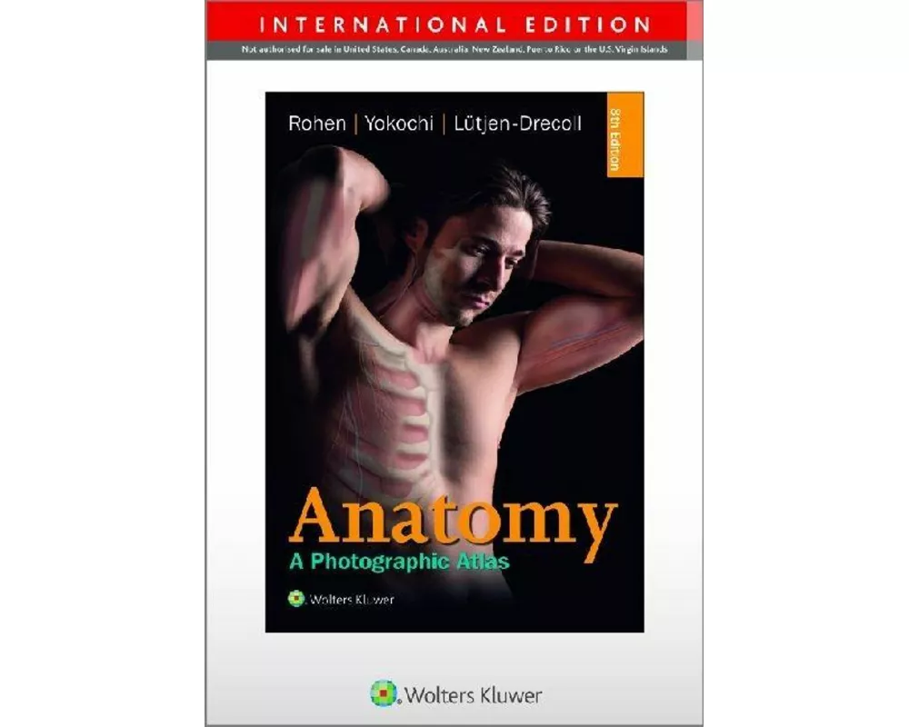 Anatomy