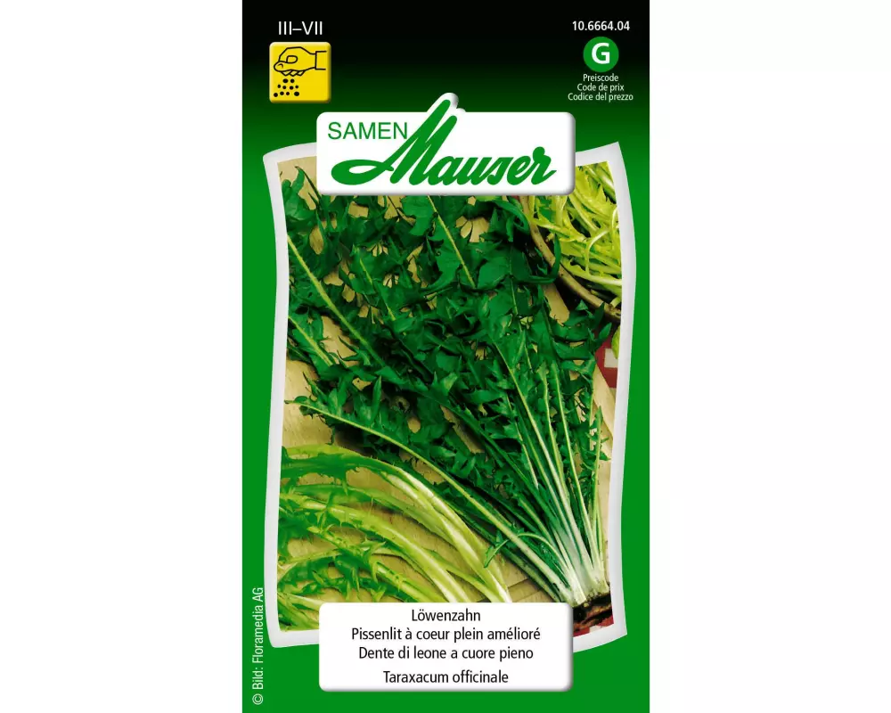 Samen Mauser Samen Löwenzahn vollherz
