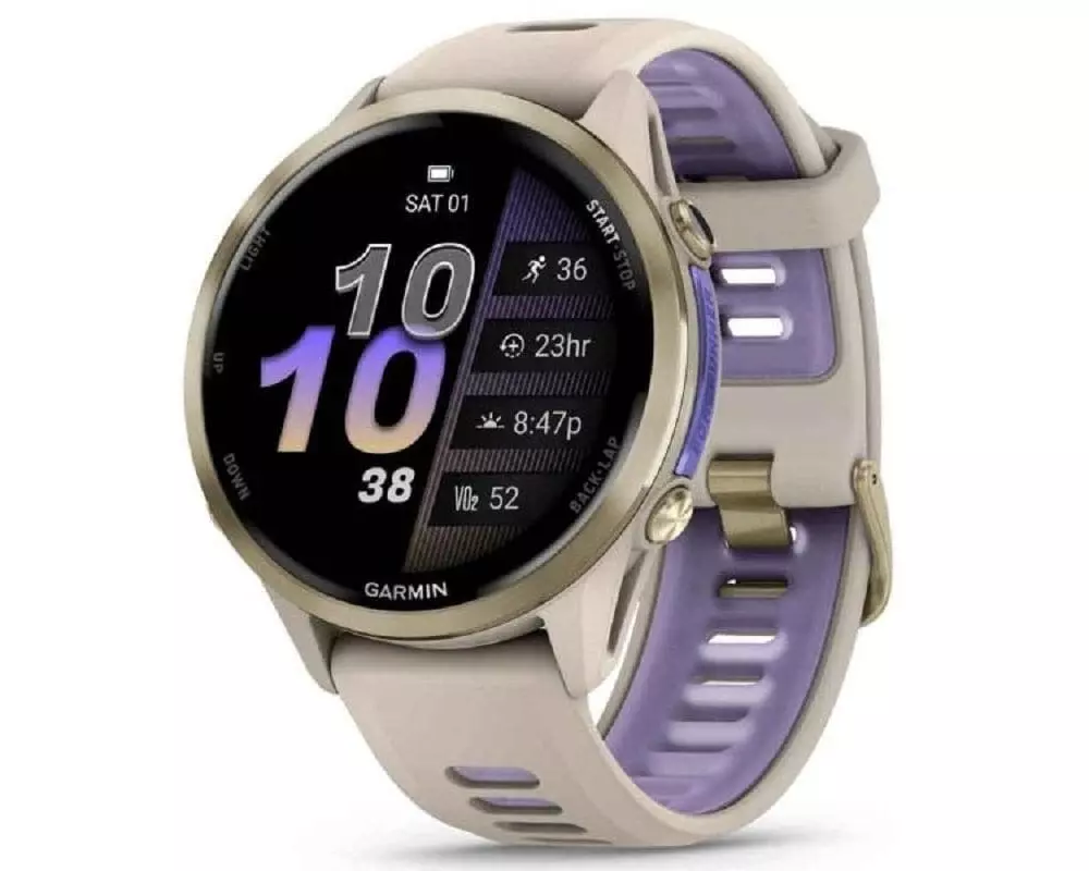 GARMIN Forerunner 970 Gray/Indigo