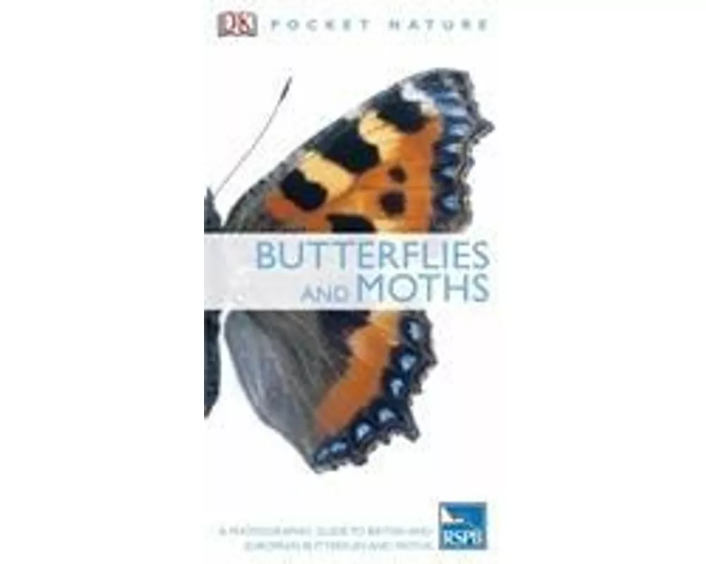 Butterflies and Moths