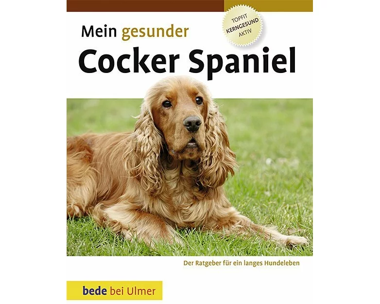 Mein gesunder Cocker Spaniel
