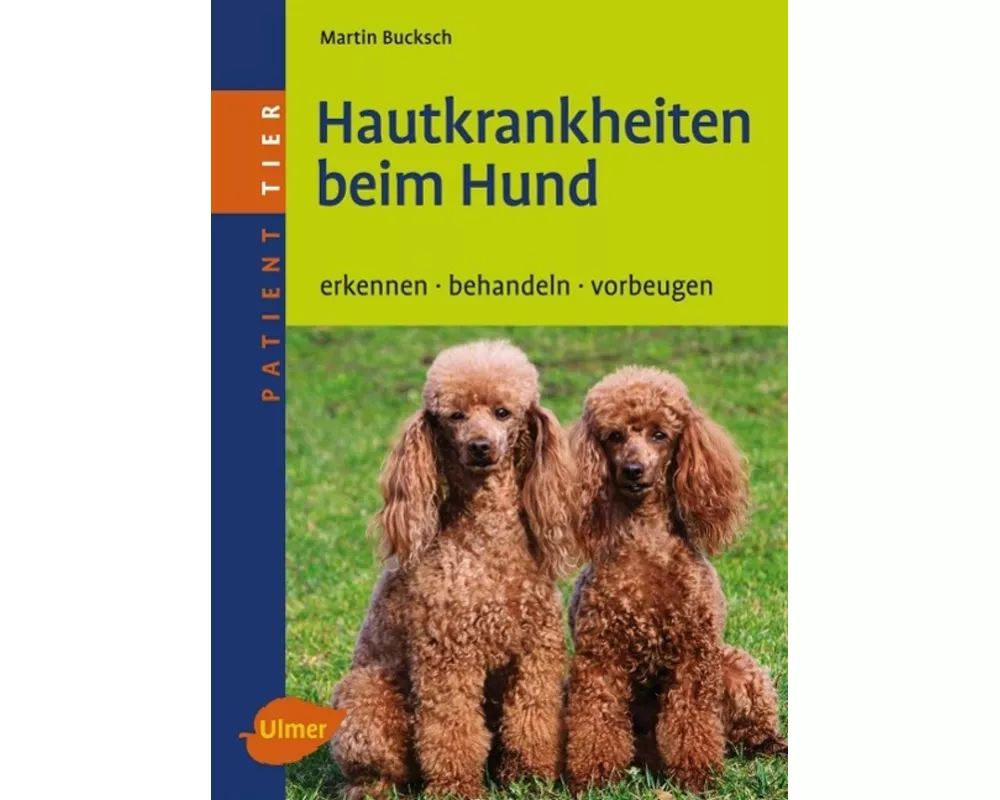 Hautkrankheiten beim Hund