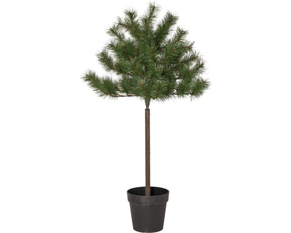 Star Trading Weihnachtsbaum Tallis Indoor, Grün, 100.00 cm Höhe