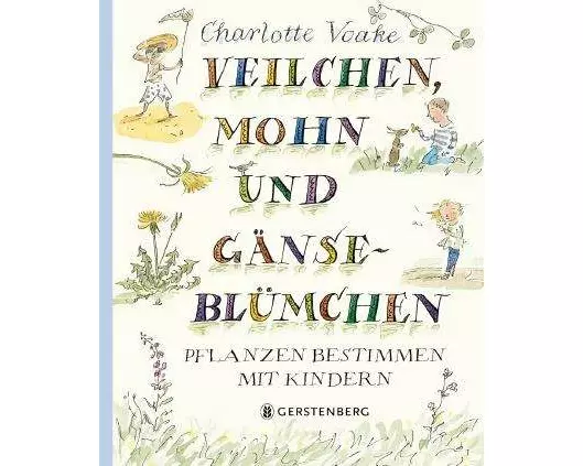 Veilchen, Mohn und Gänseblümchen