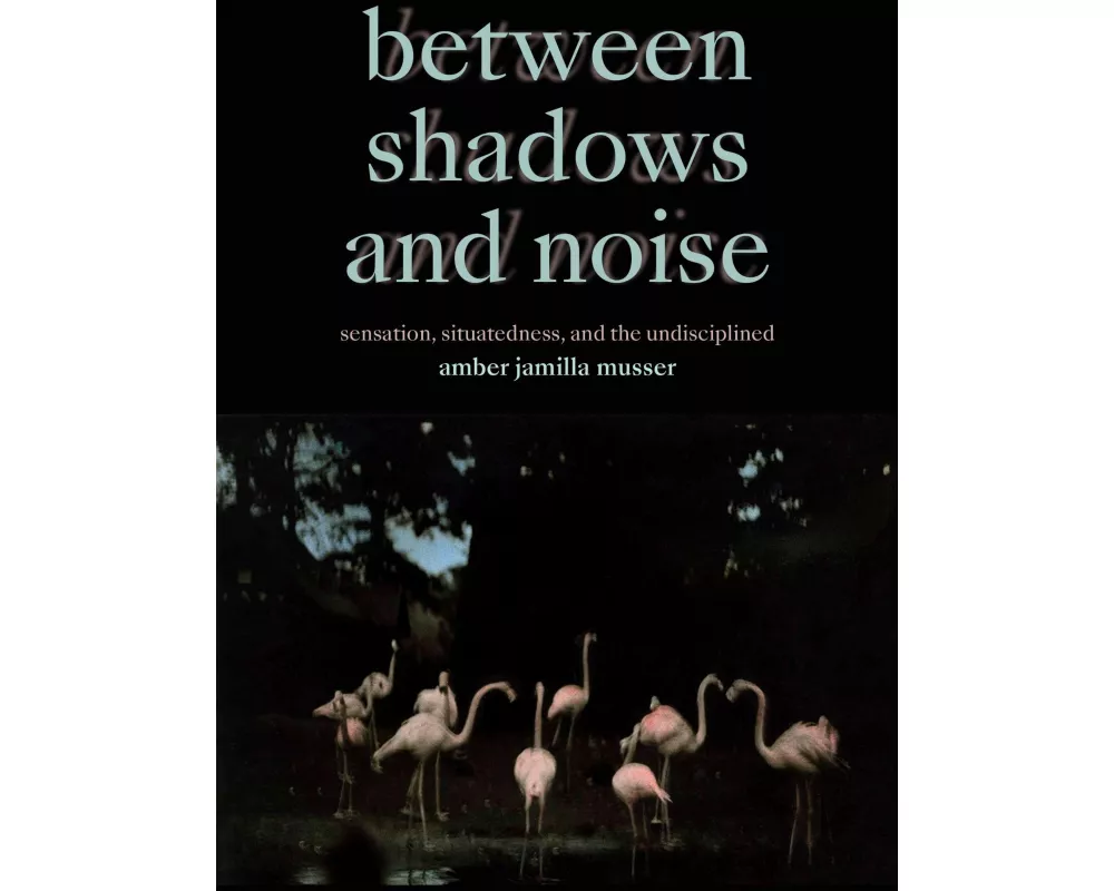 Between Shadows and Noise