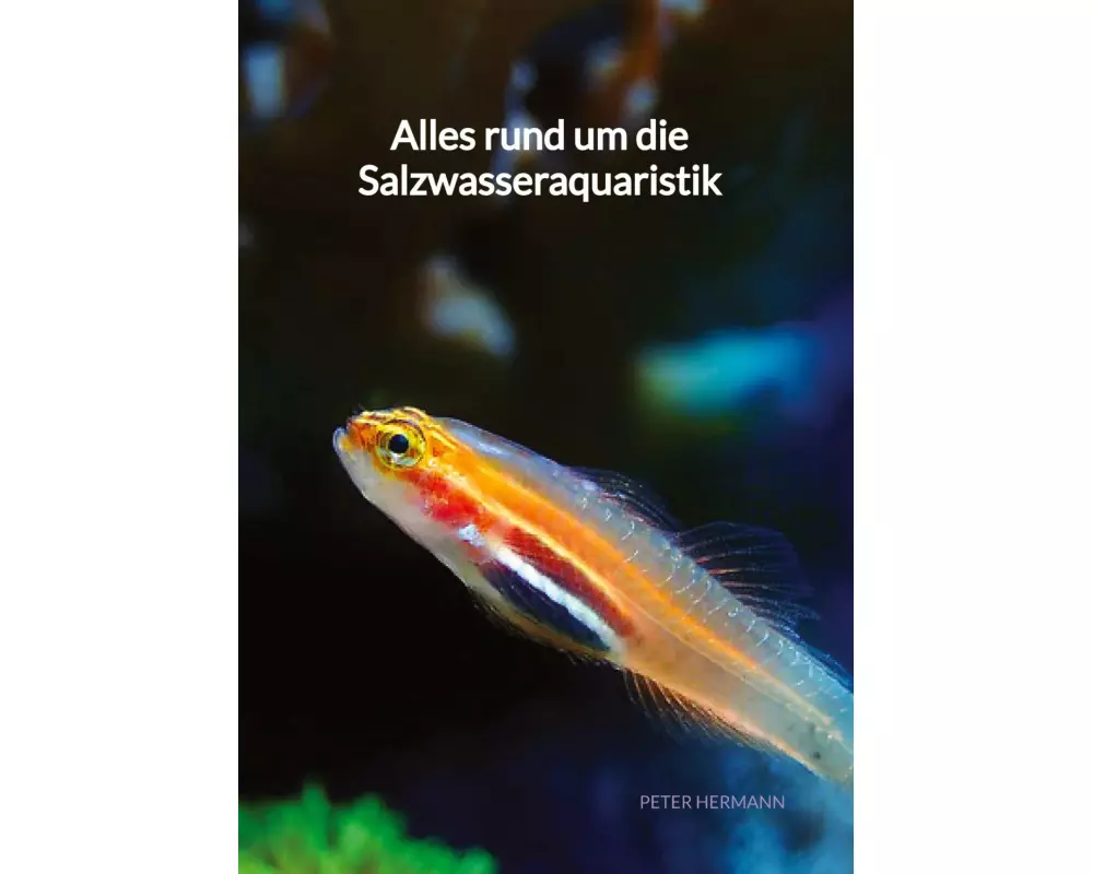 Alles rund um die Salzwasseraquaristik