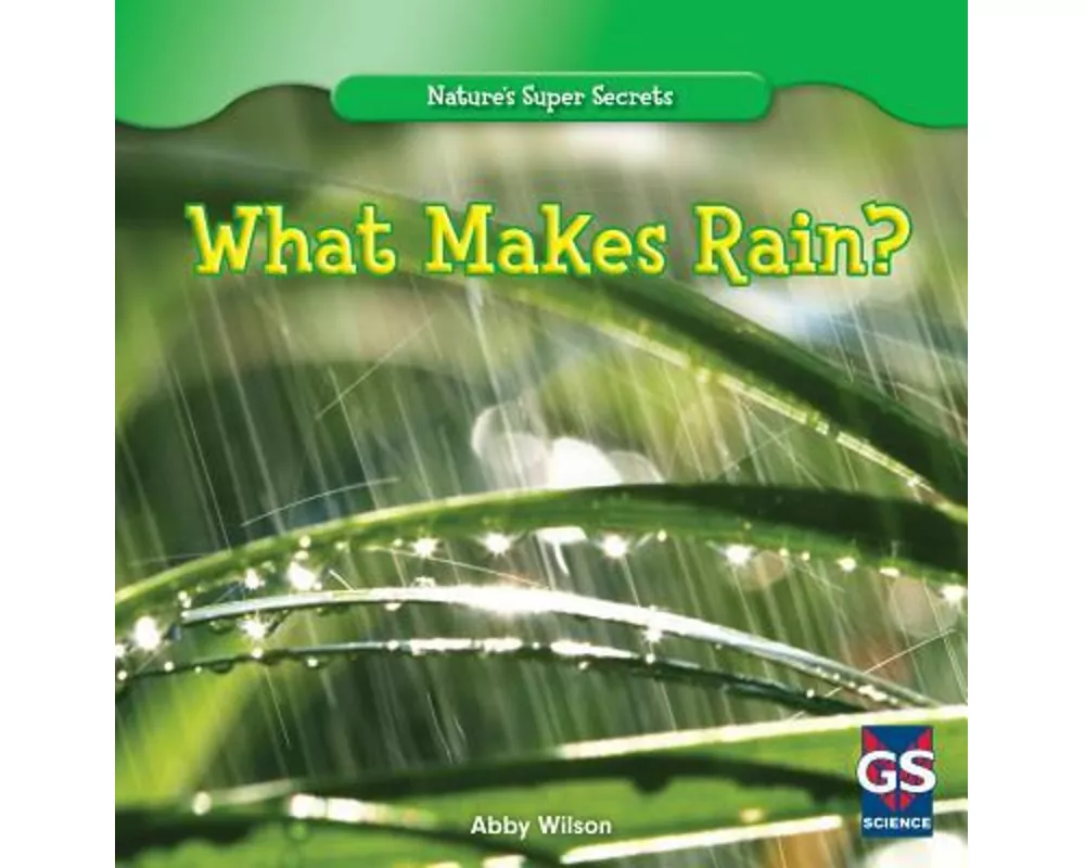 What Makes Rain?
