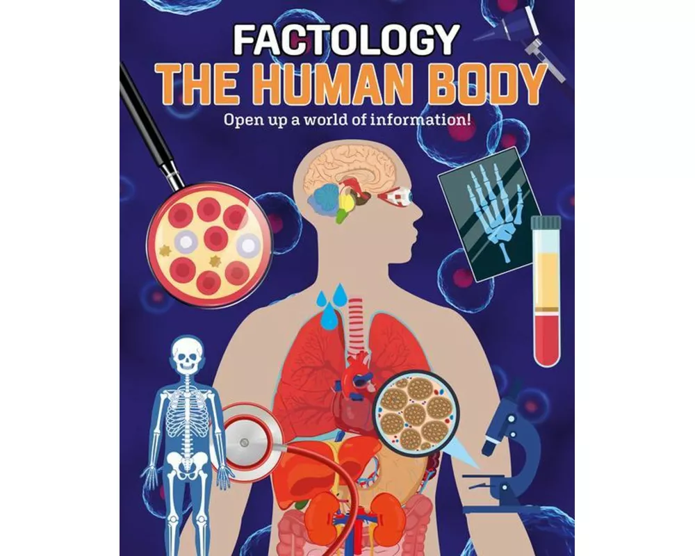 Factology: The Human Body