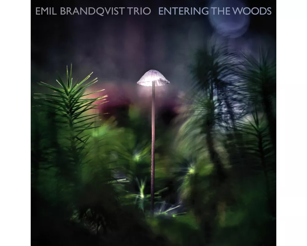 Entering The Woods (Digipak)