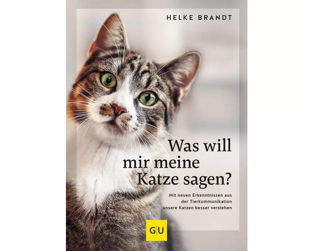 Was will mir meine Katze sagen?