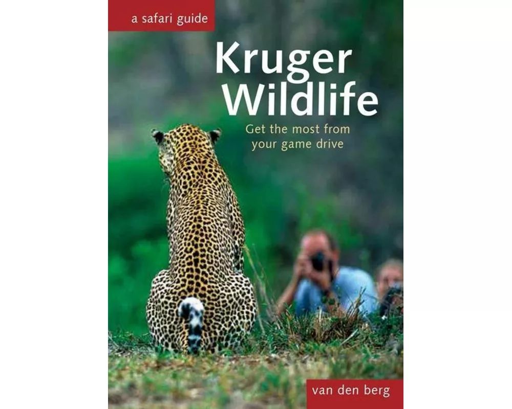 Kruger Wildlife
