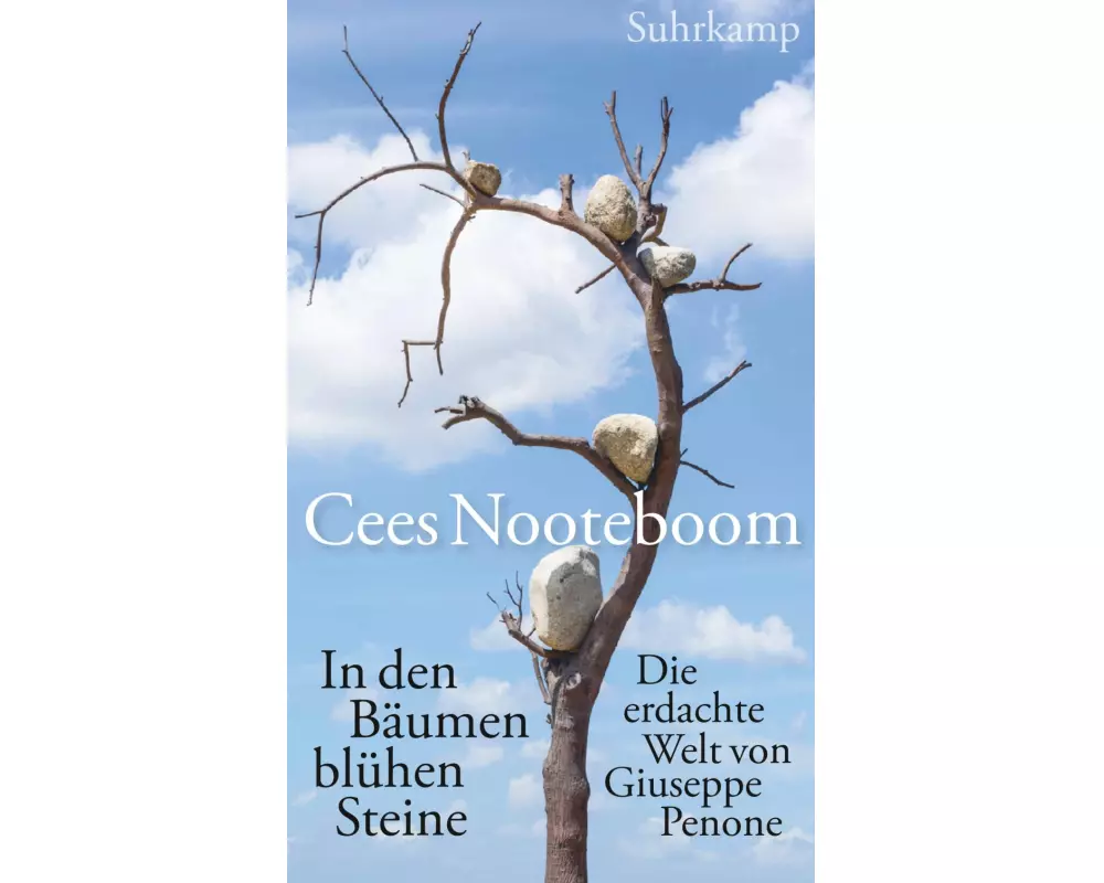 In den Bäumen blühen Steine