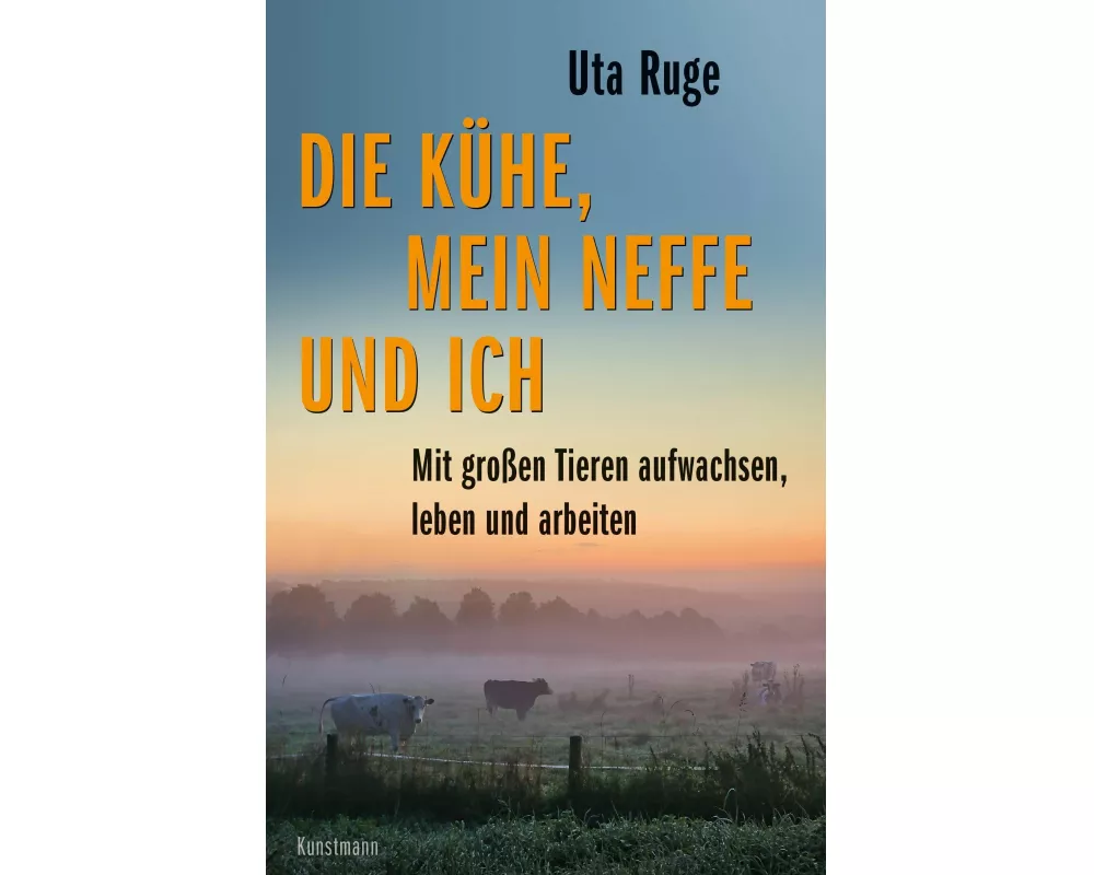 Die Kühe, mein Neffe und ich