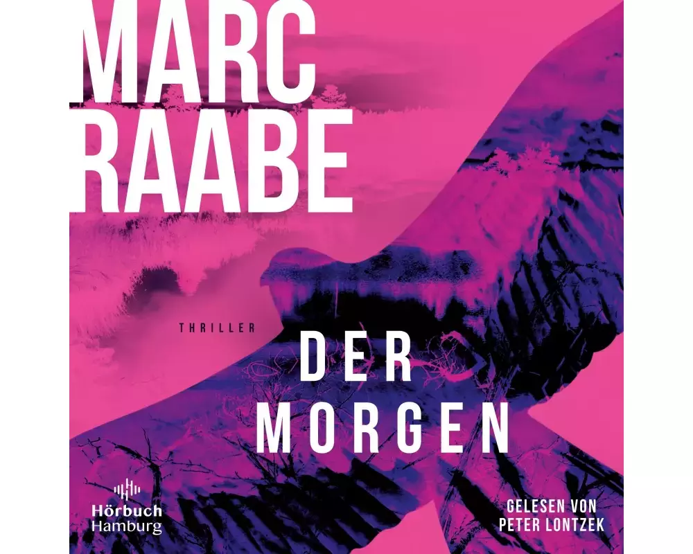 Der Morgen (Art Mayer-Serie 1)