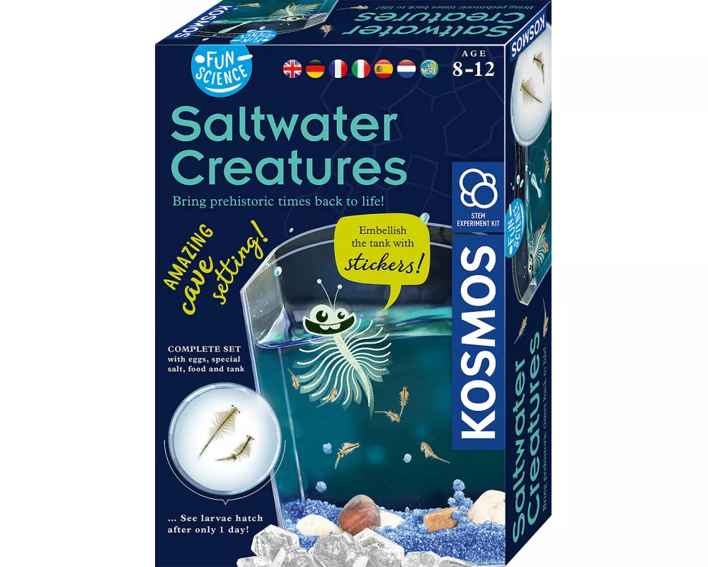 Fun Science Saltwater Creatures INT