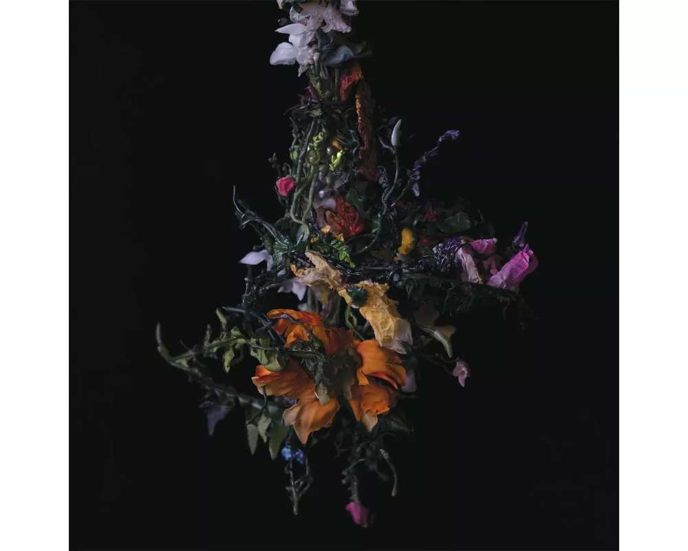 Nature Morte