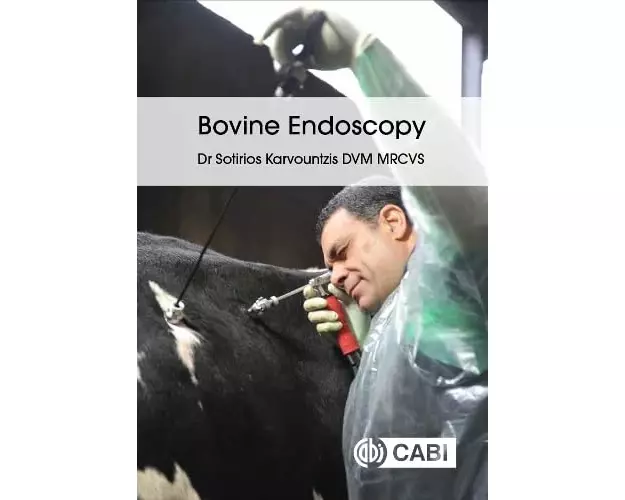 Bovine Endoscopy