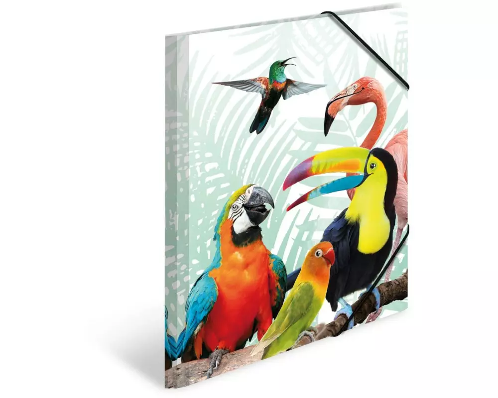 HERMA Gummibandmappe Papagei A4, Mehrfarbig