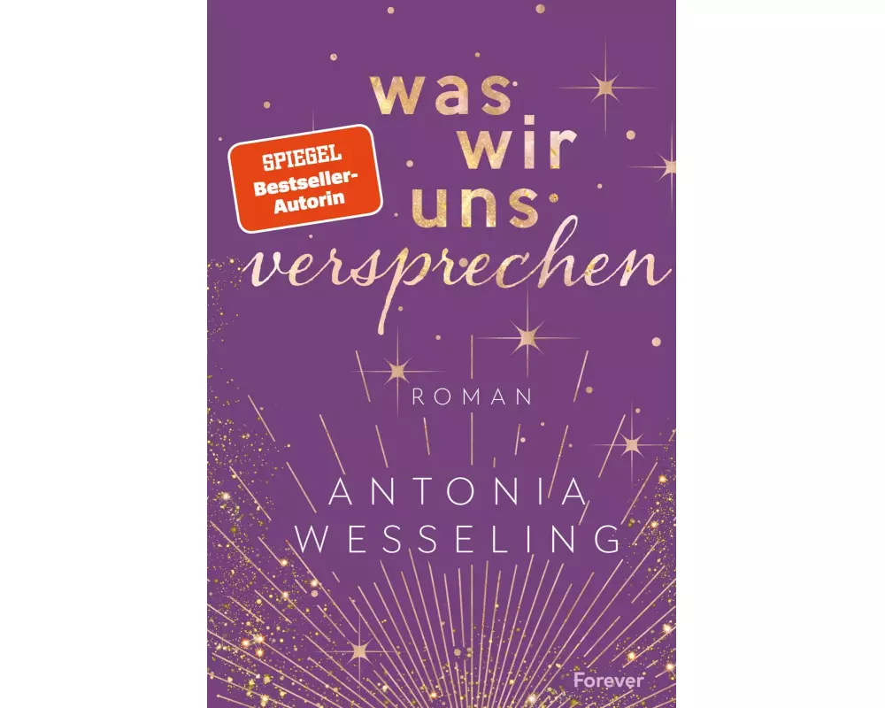 Was wir uns versprechen (Light in the Dark 3)