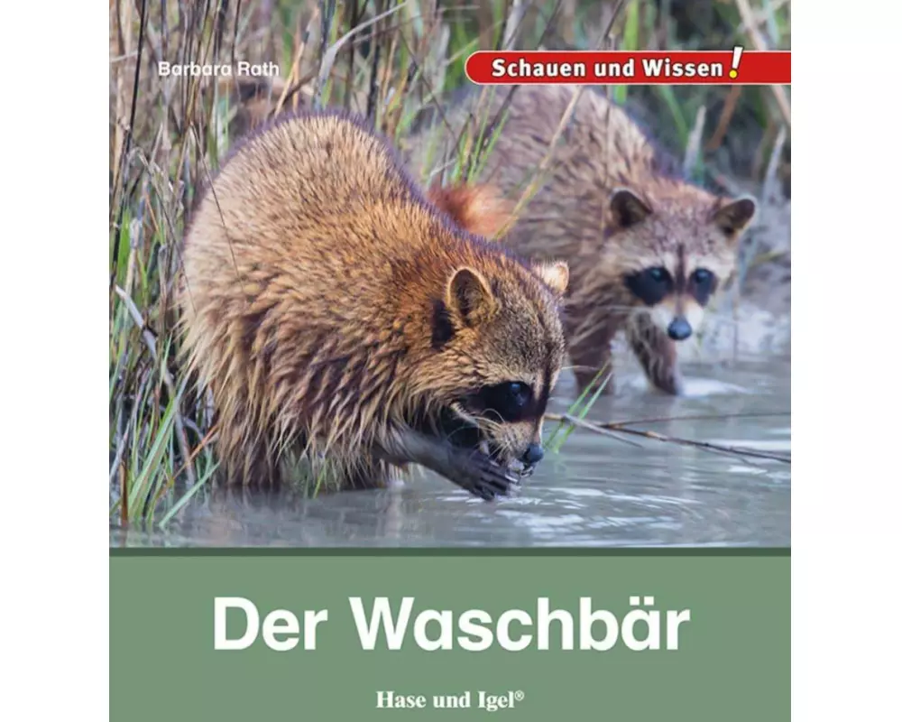 Der Waschbär