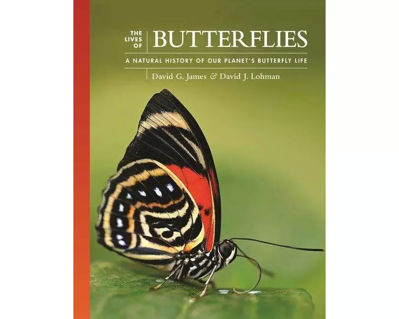 The Lives of Butterflies