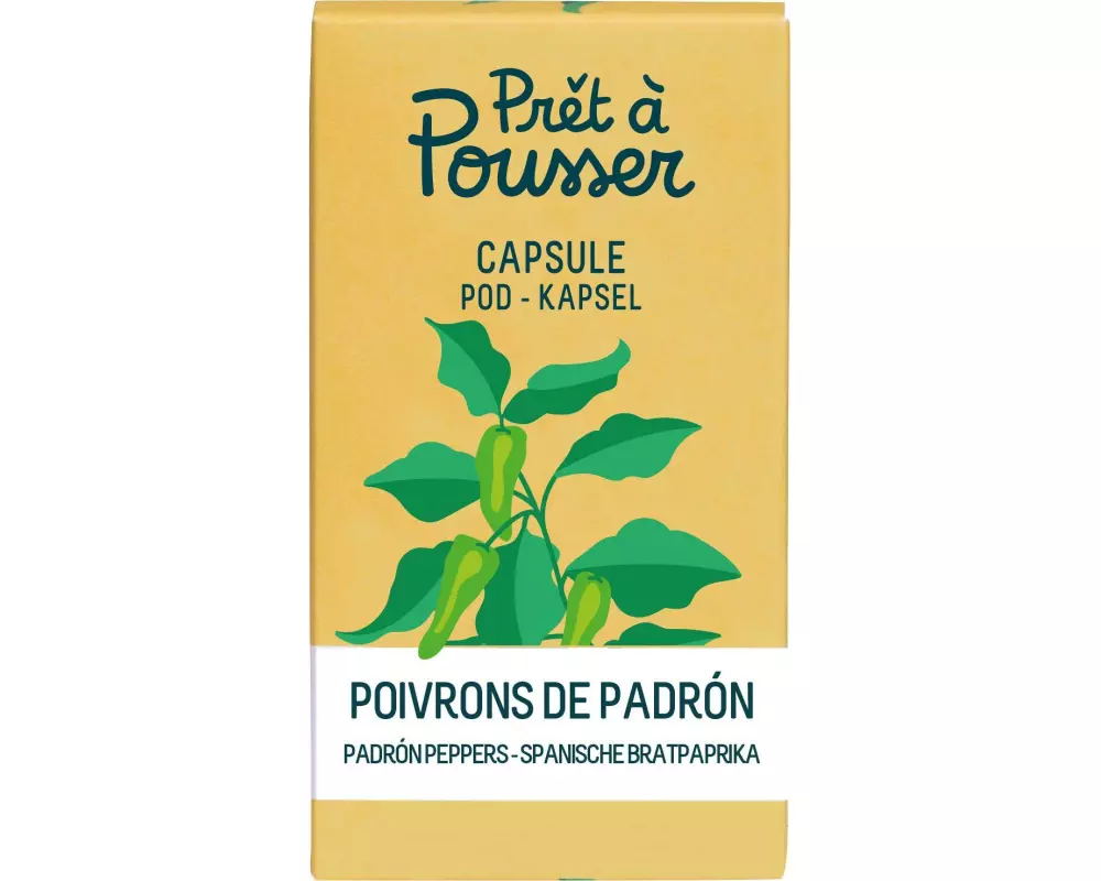 Prêt à Pousser Samen Padron-Paprika