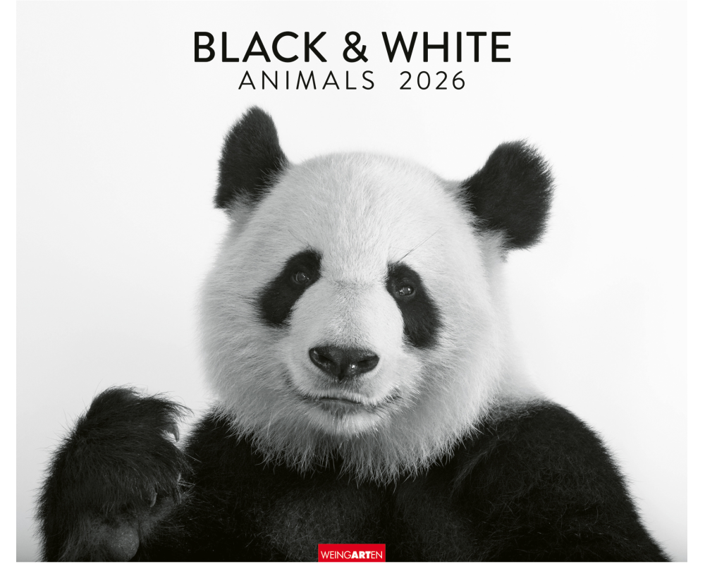 WEINGARTEN Bildkalender 2026 3312243+26 Black&White Animals 55x46cm