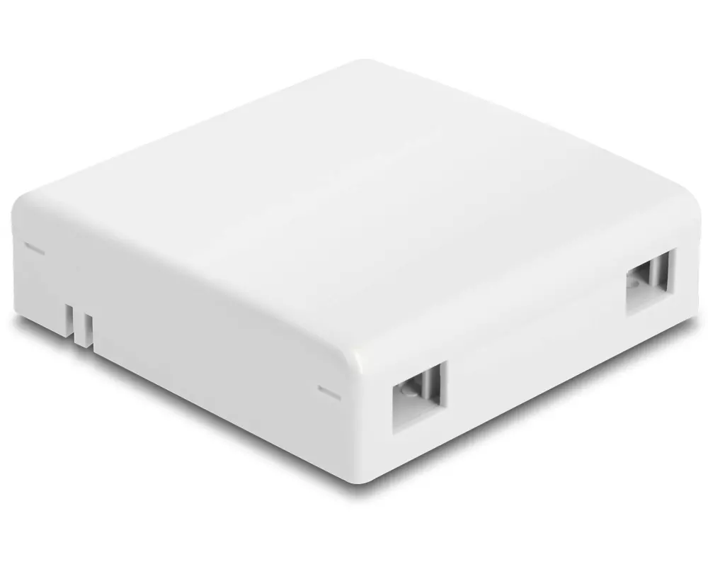 Delock LWL Anschlussdose zur Wandmontage für 2x SC/LC