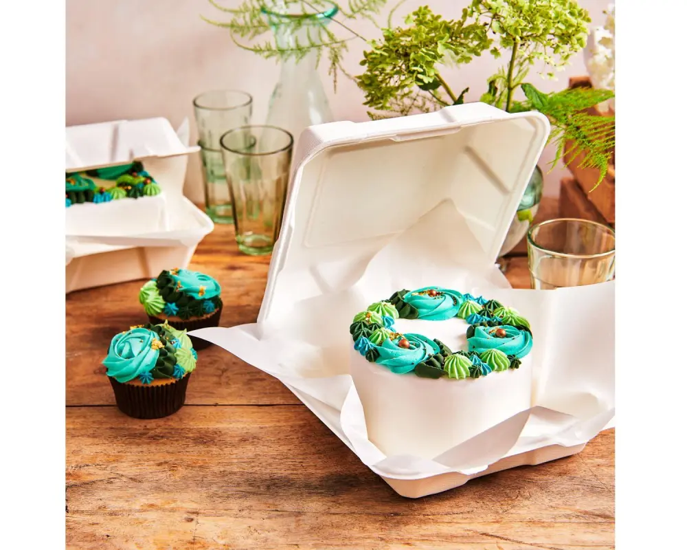 Funcakes Kuchen-Box Bento, 15 x 15 cm, 10 Stück
